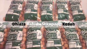 Dhiaza Bahulu Sekupang Kedah featured